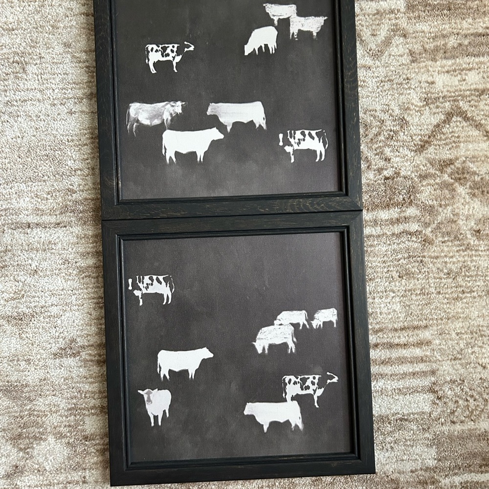 Black and White Cow Art Prints